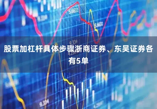 股票加杠杆具体步骤浙商证券、东吴证券各有5单