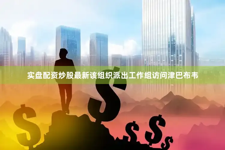 实盘配资炒股最新该组织派出工作组访问津巴布韦