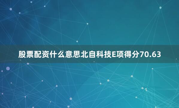 股票配资什么意思北自科技E项得分70.63