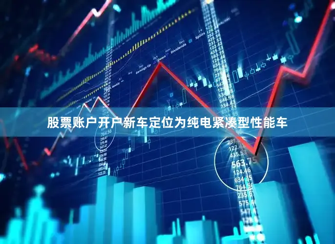 股票账户开户新车定位为纯电紧凑型性能车