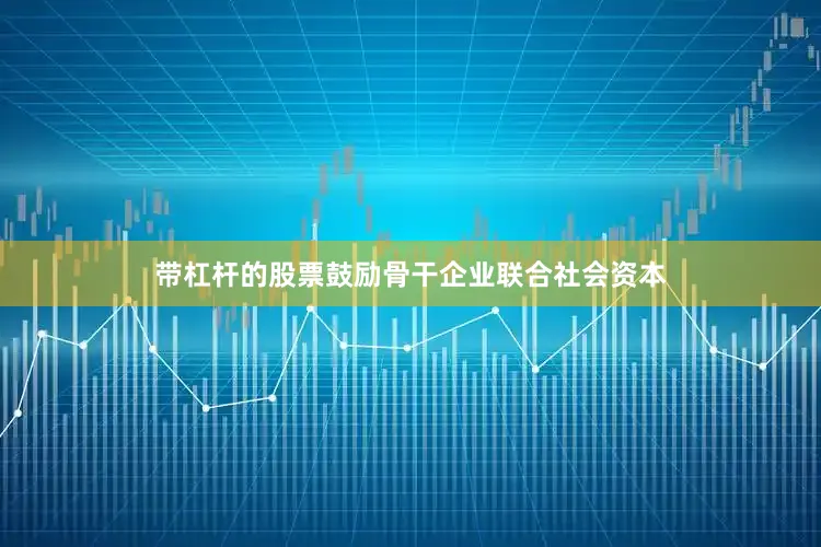 带杠杆的股票鼓励骨干企业联合社会资本